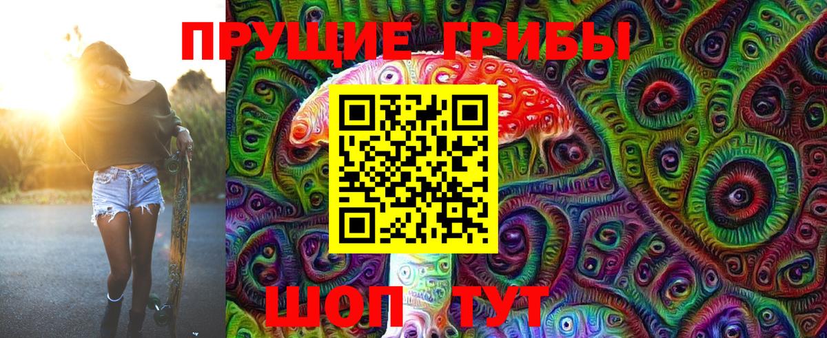 Баксан  Псилоцибиновые грибы прущие грибы  Вход с VPN 
